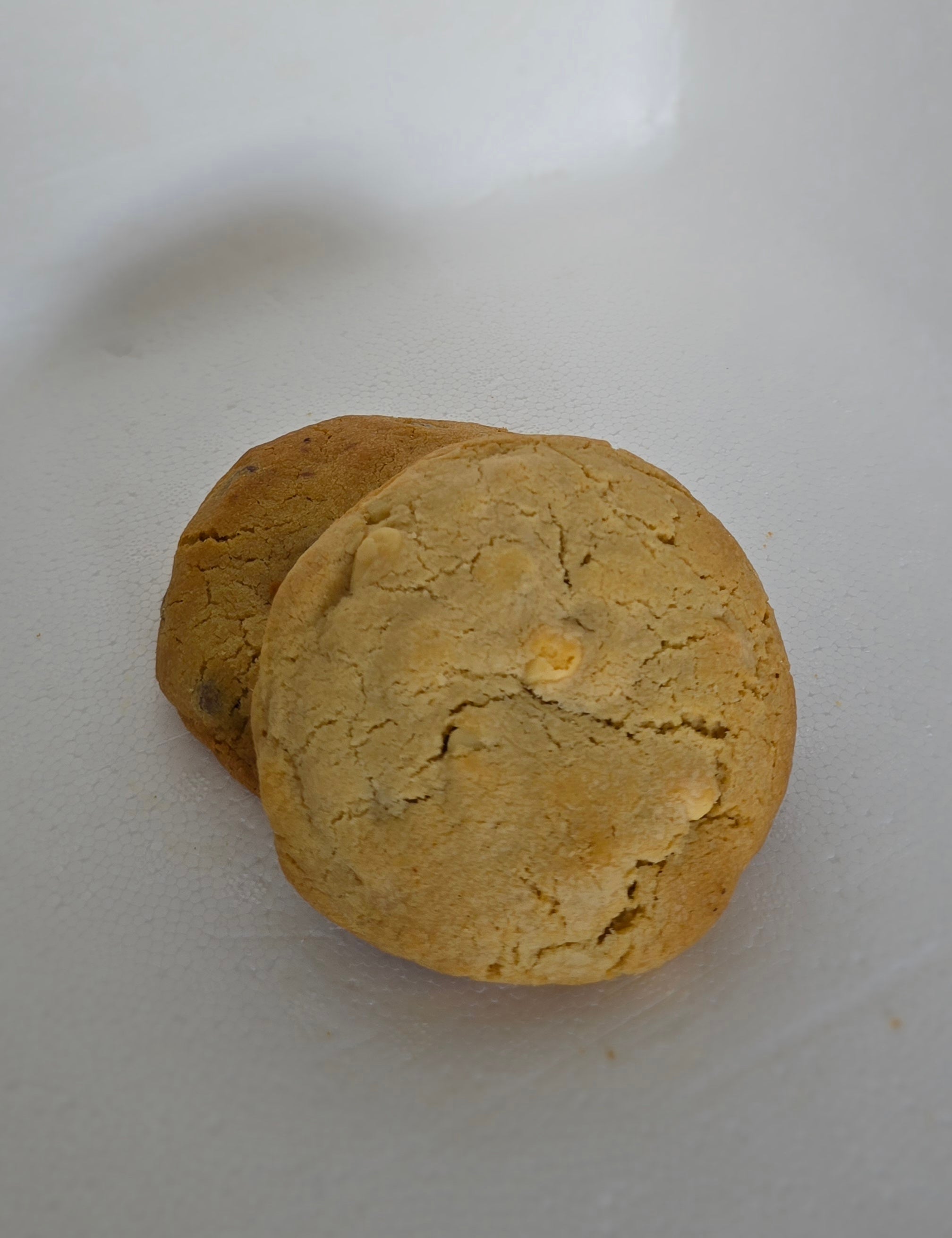 Cookie White Choc & Macadamia