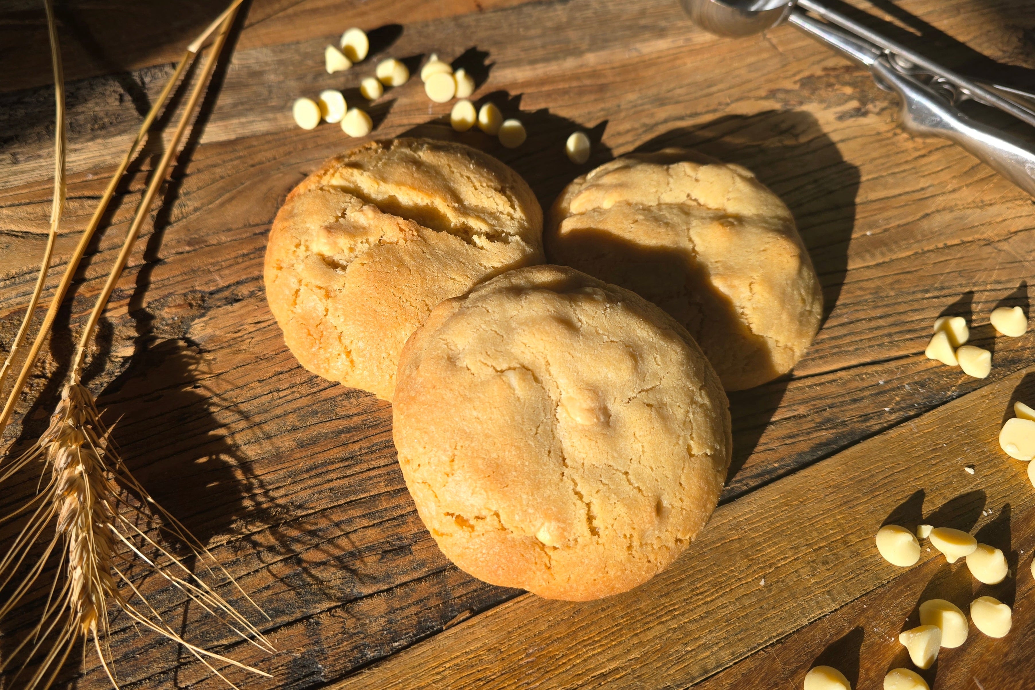 Cookie White Choc & Macadamia