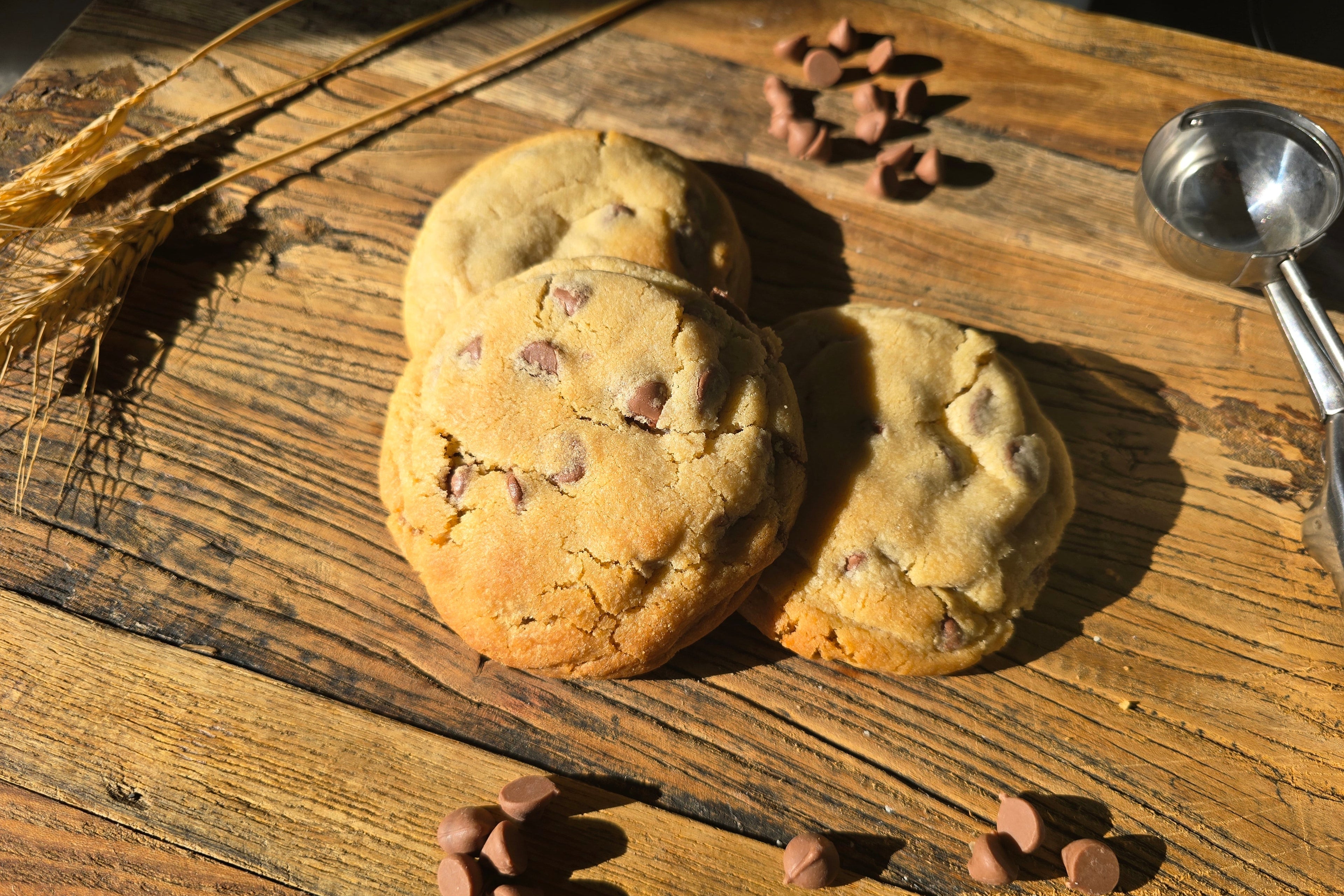 Cookie Choc Chip